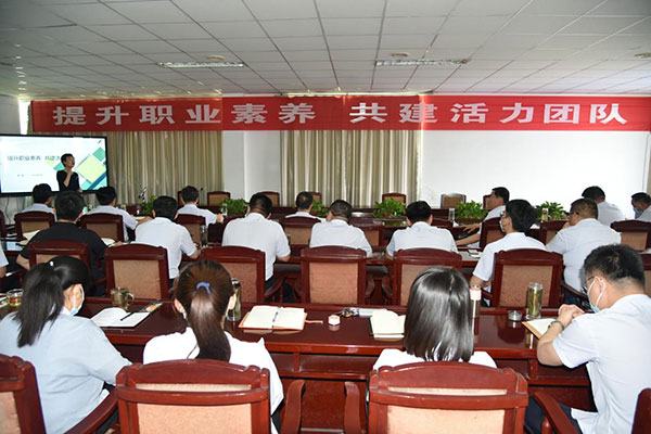 公司舉辦“提升職業(yè)素養(yǎng) 共建活力團(tuán)隊(duì)”專題培訓(xùn)