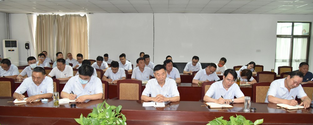 公司召開“慶七一·永遠(yuǎn)跟黨走”主題黨日活動           慶祝建黨101周年