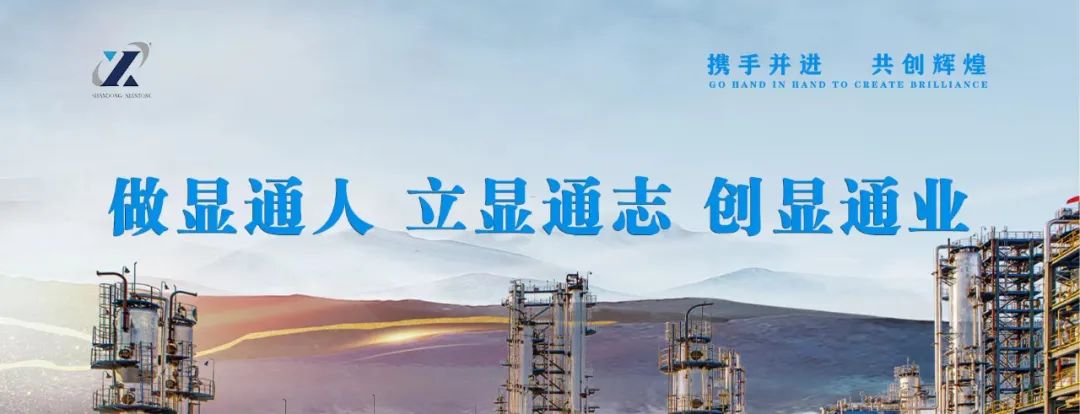 公司榮獲多項榮譽(yù)