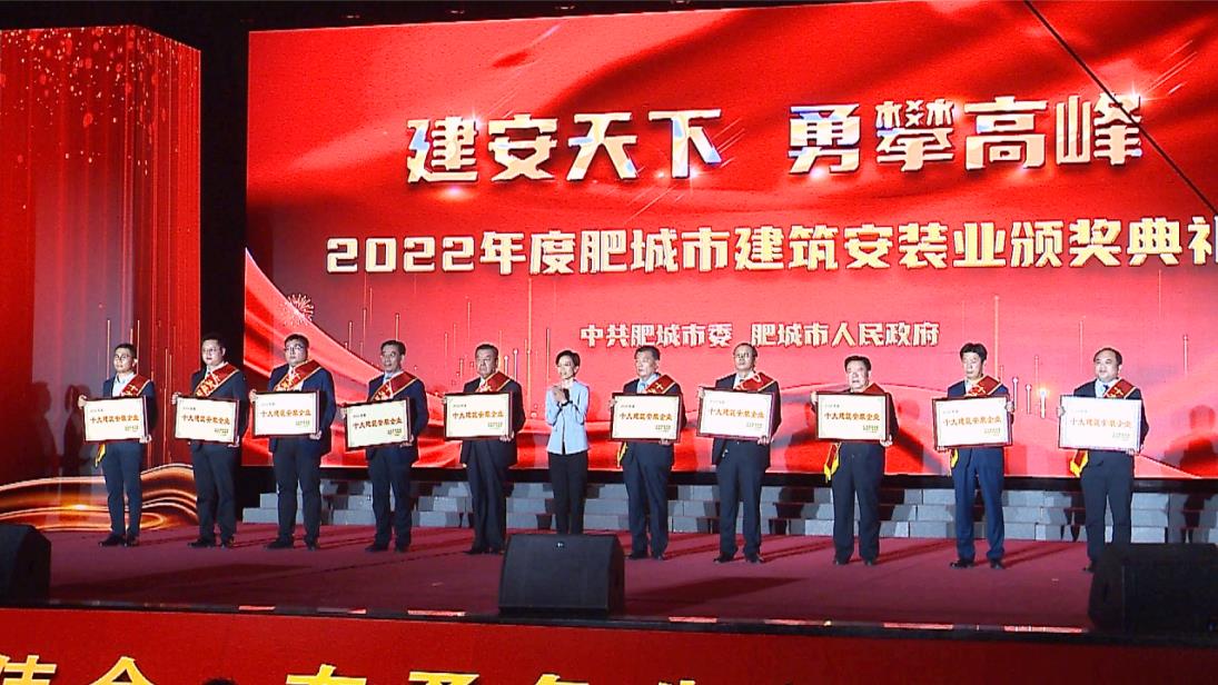 公司榮獲多項榮譽(yù)