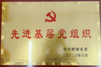 喜報！公司黨委榮獲肥城市“先進基層黨組織”榮譽稱號