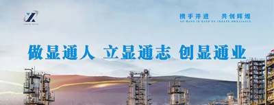 喜報！公司黨委榮獲肥城市“先進基層黨組織”榮譽稱號