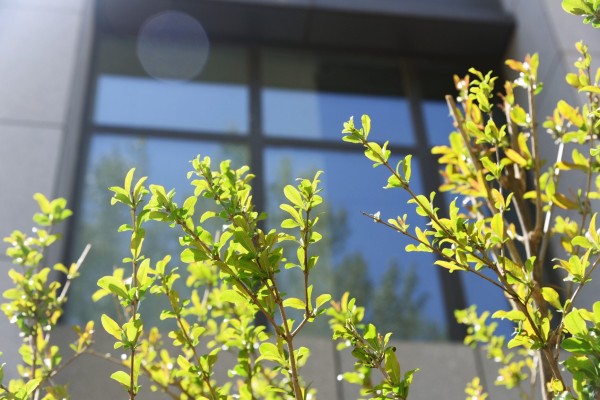 司園春景盛，奮進正當(dāng)時