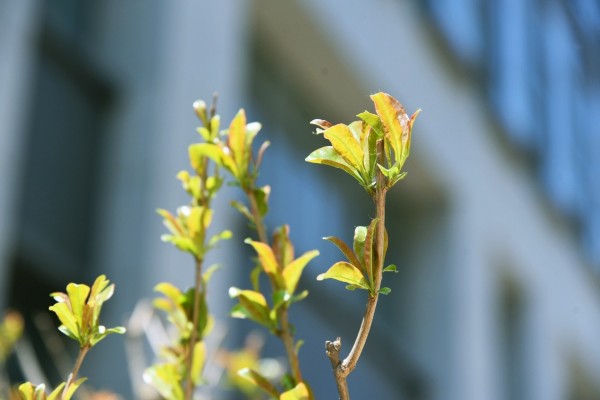 司園春景盛，奮進正當(dāng)時