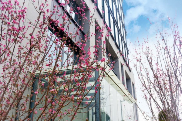 司園春景盛，奮進正當(dāng)時