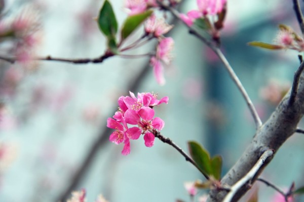 司園春景盛，奮進正當(dāng)時