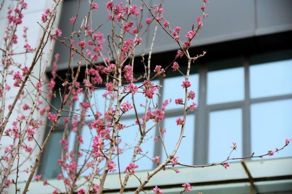 司園春景盛，奮進正當(dāng)時