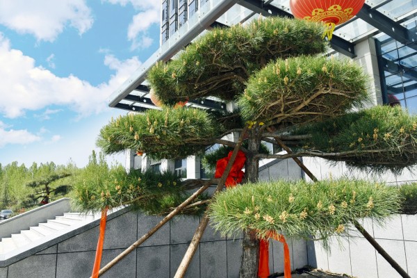 司園春景盛，奮進正當(dāng)時