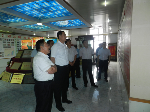 肥城市委副書記、市長殷錫瑞來我公司調(diào)研